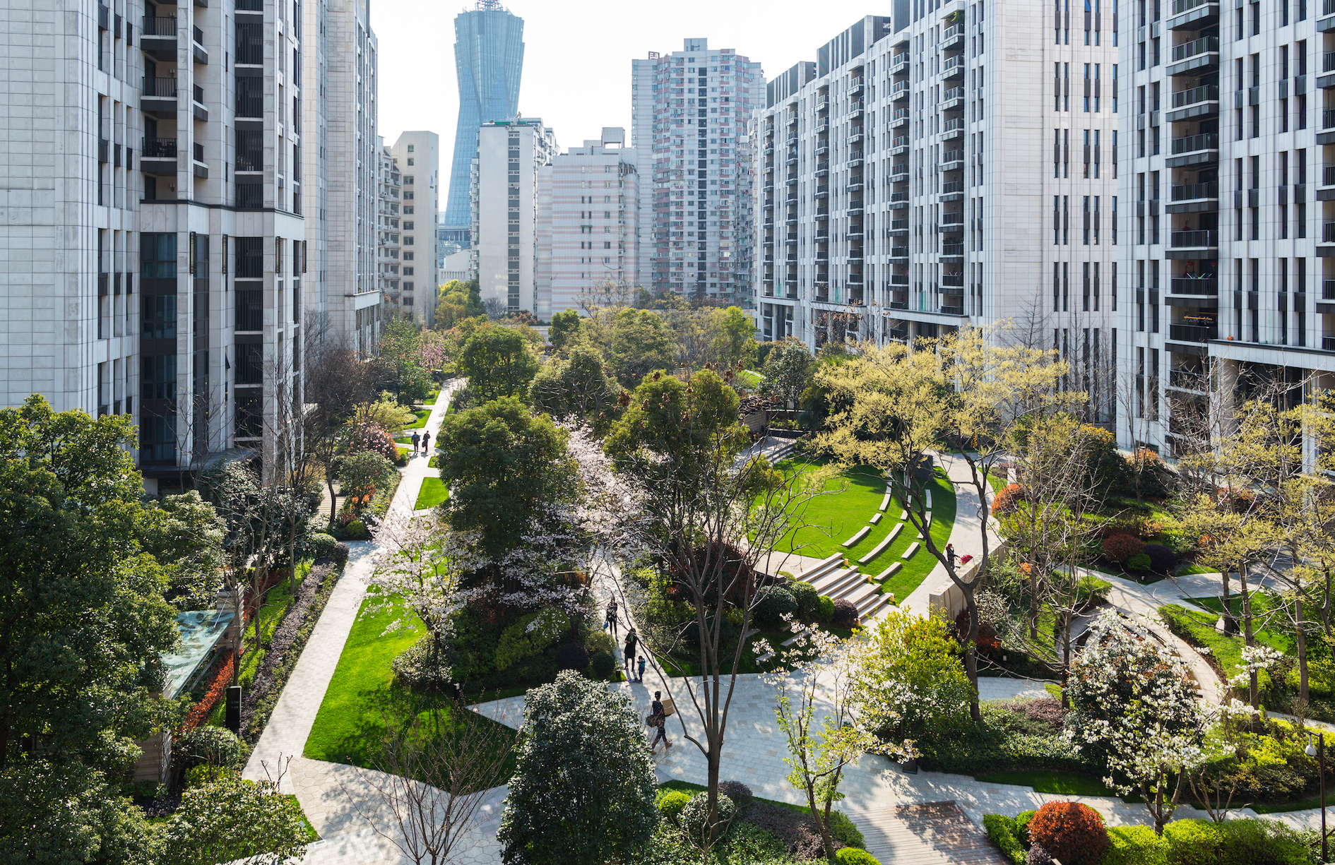 项目经验— integrated Planning and Design